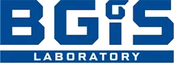 Bgis sp. z o.o. - logo